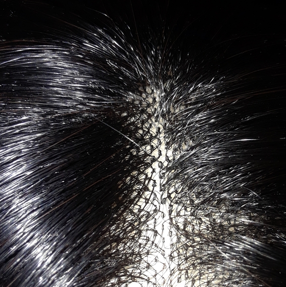 Rene of Paris-Wig -Color-Hot Chocolate- Lace Front - Picture 6 of 10